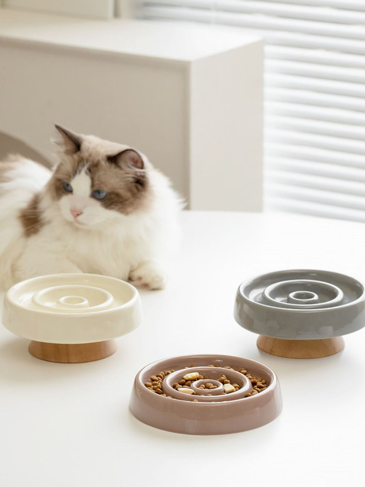 Interactive slow feeder pet bowl by Trendsi with raised sections to slow eating and promote healthy digestion for dogs and cats.