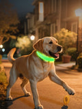 LED glowing pet collar from Trendsi with bright illumination for night safety, adjustable strap, and durable design.