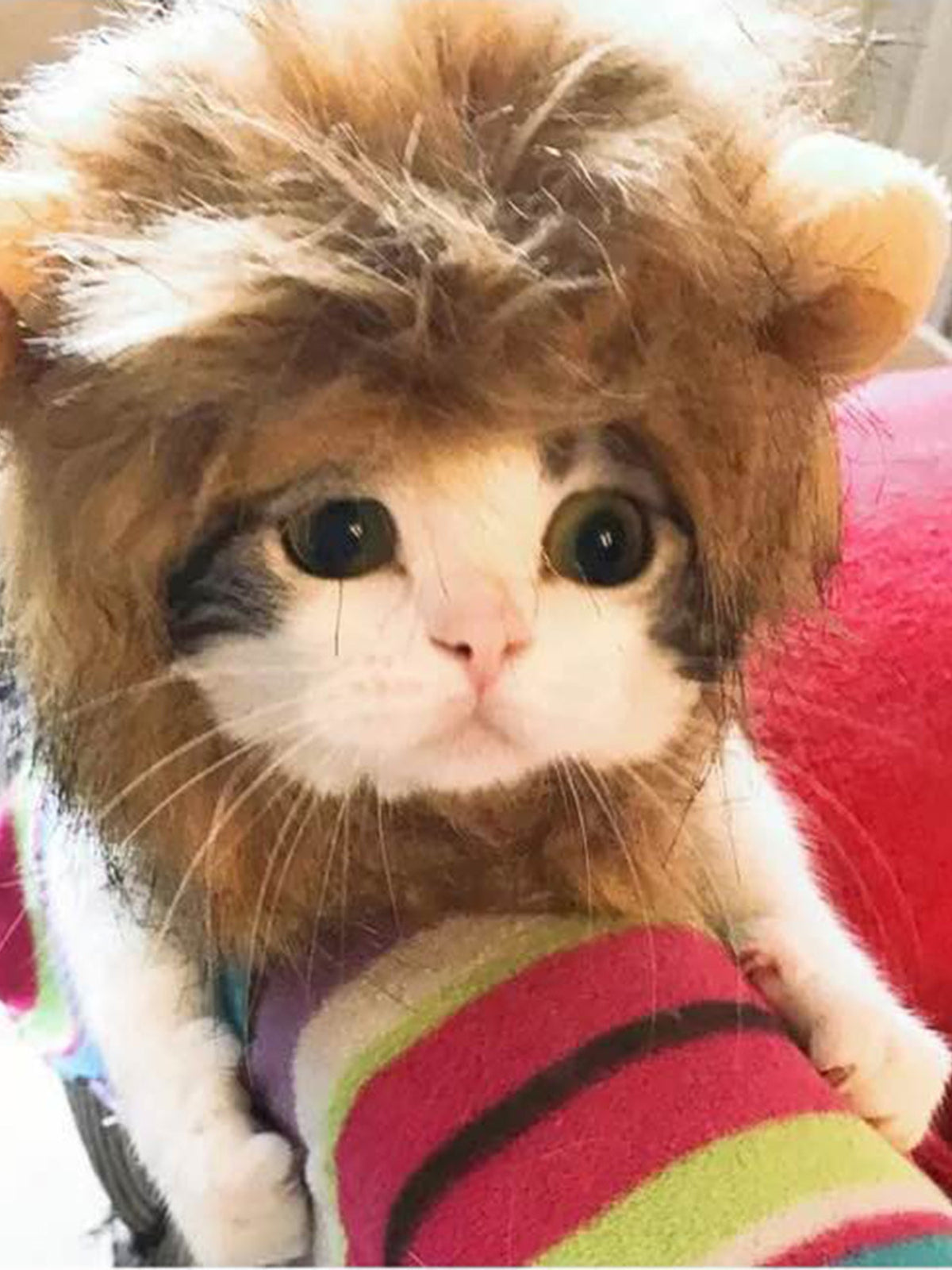 Lion Mane pet headwear in tan with fluffy faux fur, designed to resemble a lion's mane for pets.
