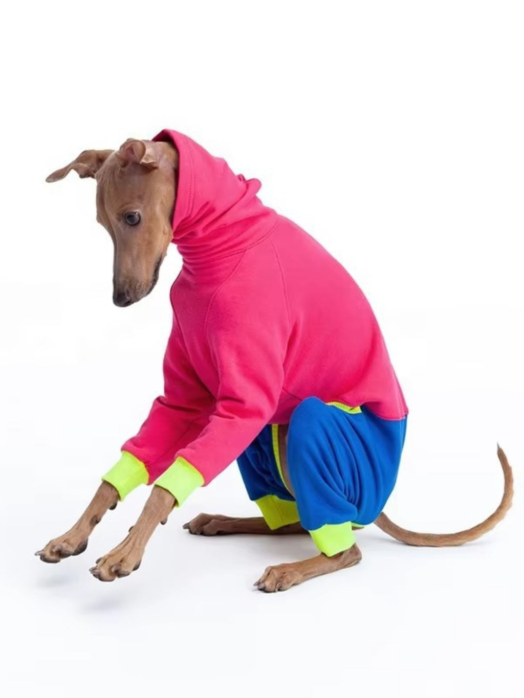 Plus size color block turtleneck pet jumpsuit by Trendsi, showing a cozy, full-size outfit with vibrant color blocks and a turtleneck collar.