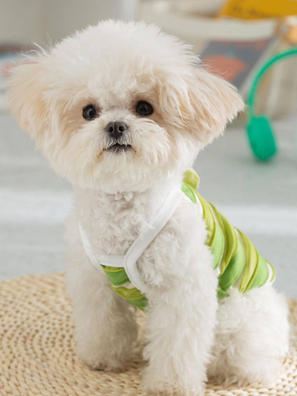 Striped breathable pet top by Trendsi, lightweight and comfortable for dogs, featuring vibrant color stripes and a snug fit.