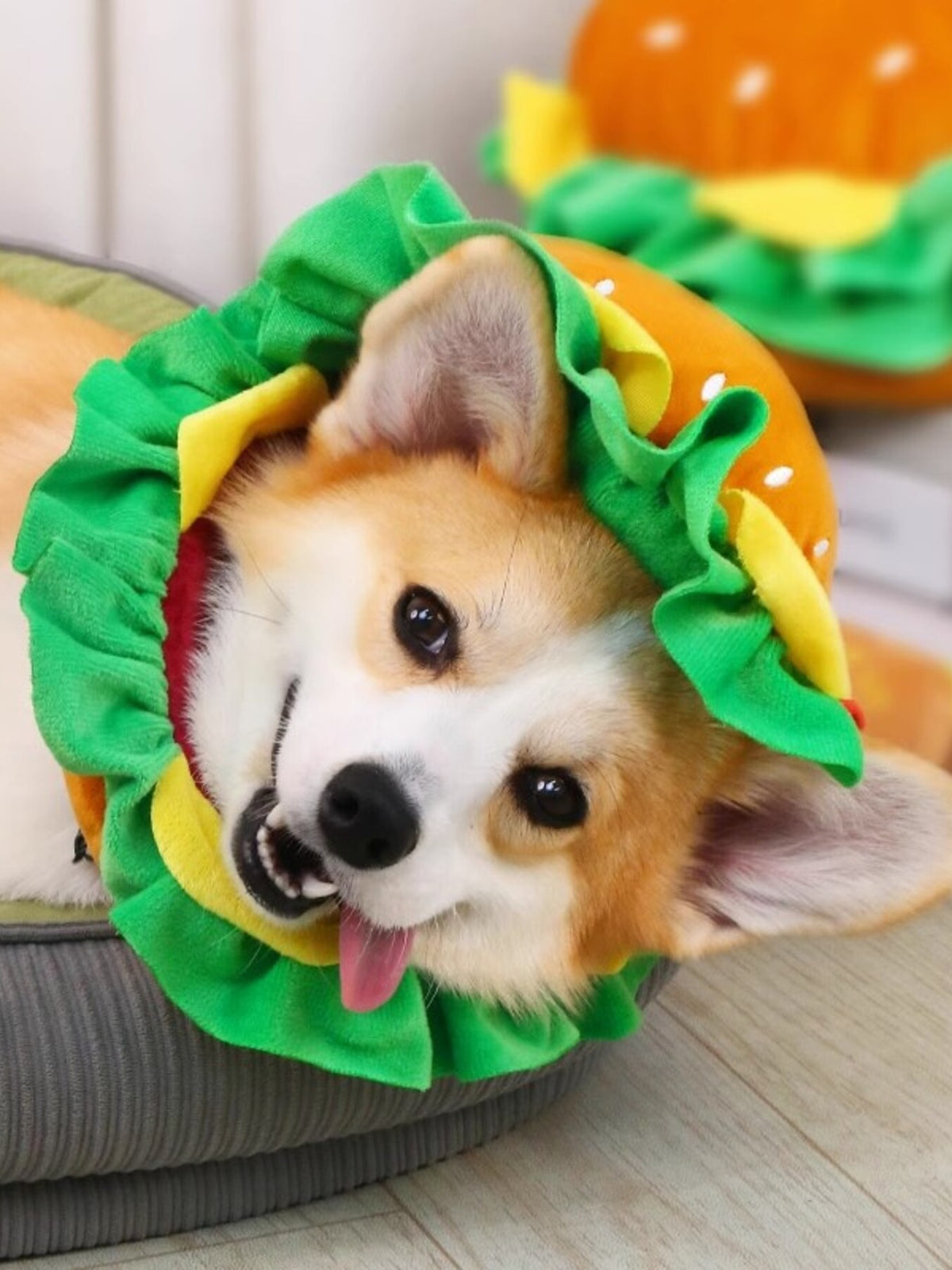 Trendsi hamburger style pet headwear featuring a playful bun and sesame seed design for pets, perfect for fun costumes.