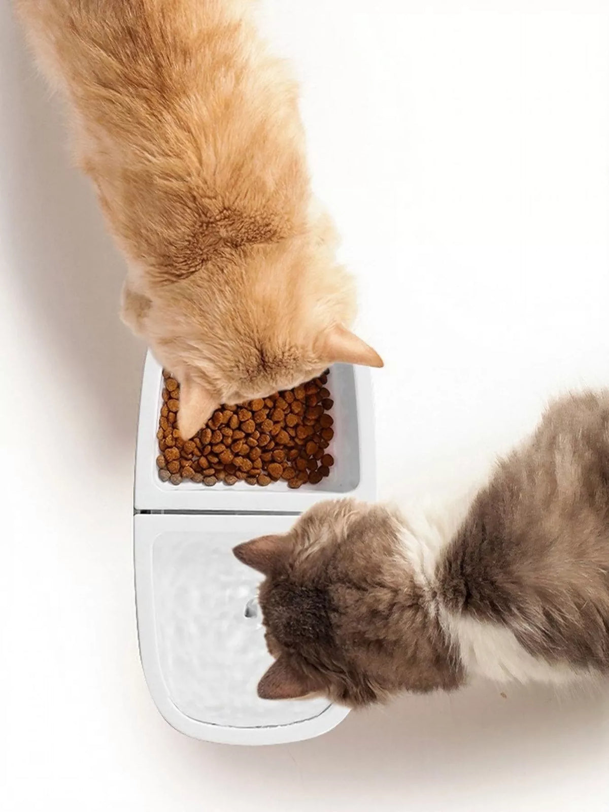 Trendsi 2-in-1 automatic pet water dispenser and food bowl showing a sleek design with water and food compartments for pets.