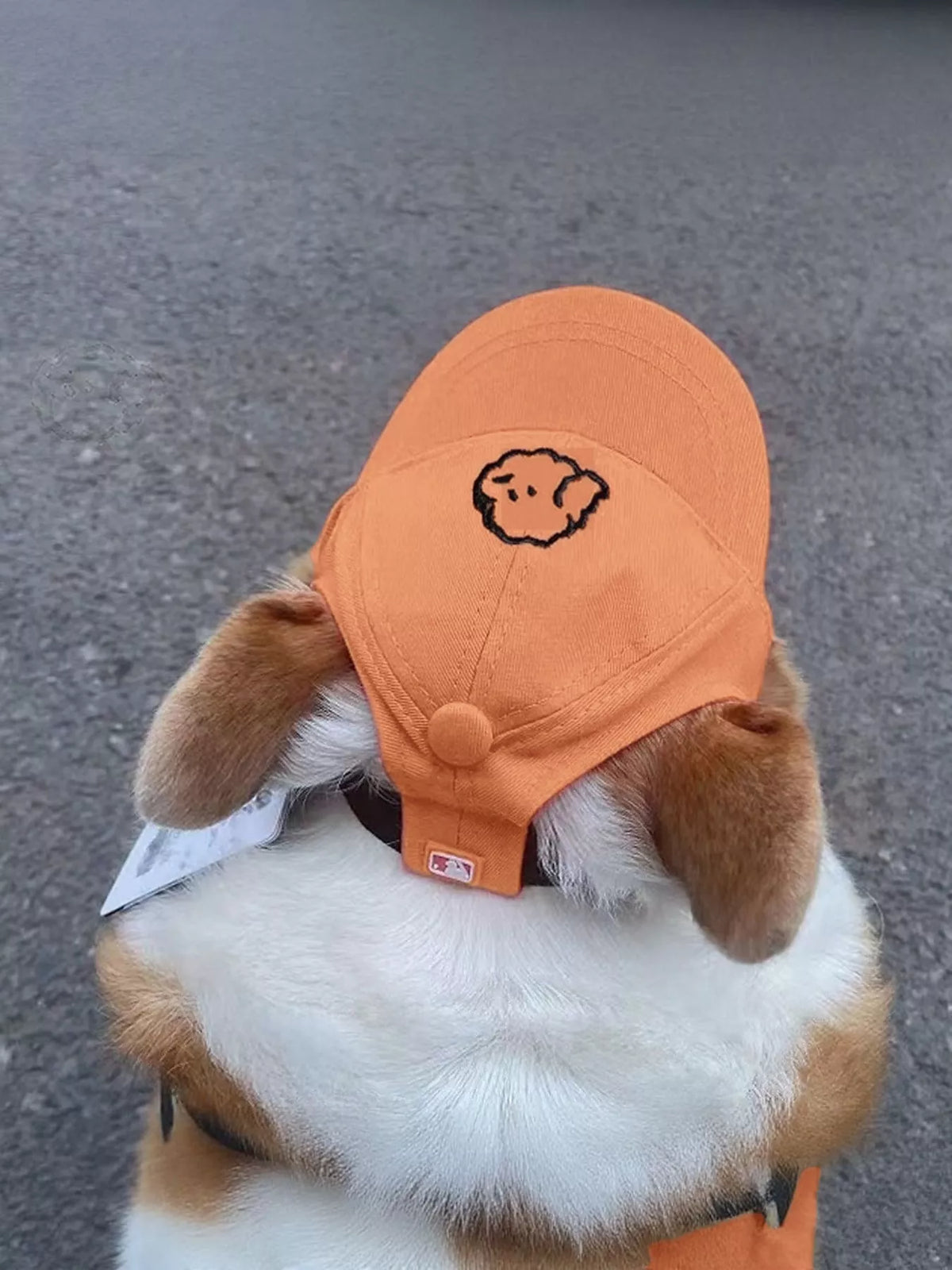 Embroidered pet baseball cap by Trendsi featuring colorful stitching, adjustable strap, and classic baseball cap style.