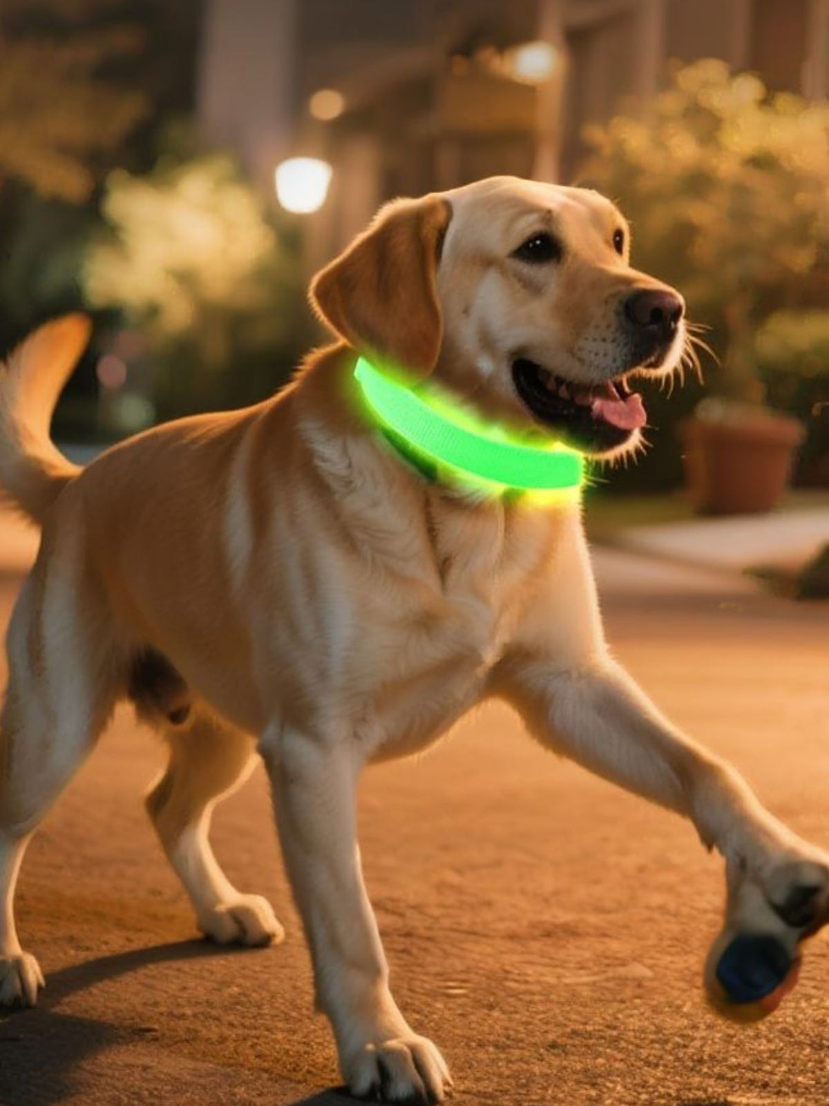 LED glowing pet collar by Trendsi with bright light for night safety, adjustable strap, and durable design for dogs and cats.