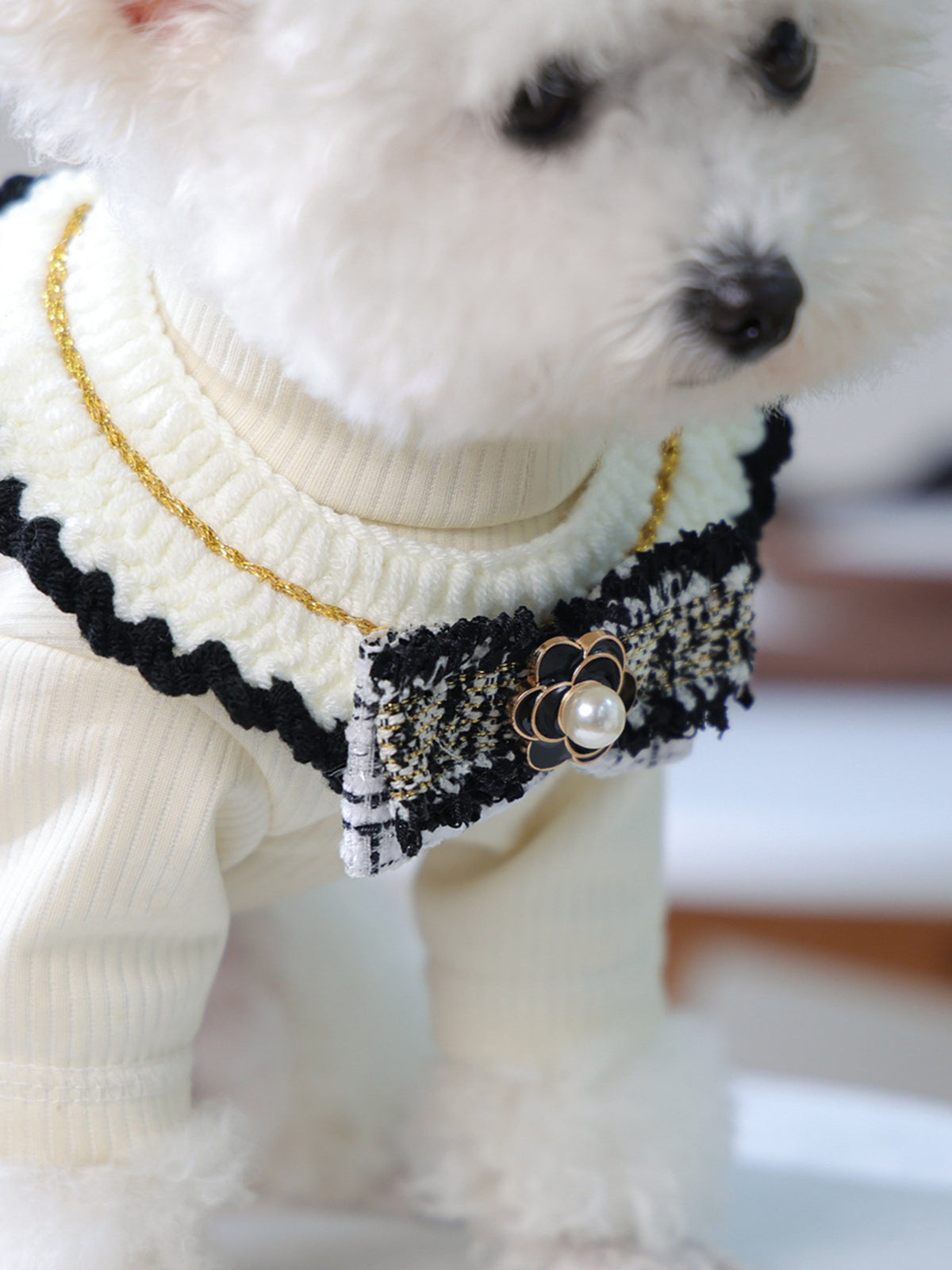 Contrast pet scarf by Trendsi featuring a stylish, colorful design suitable for small to medium dogs and cats.