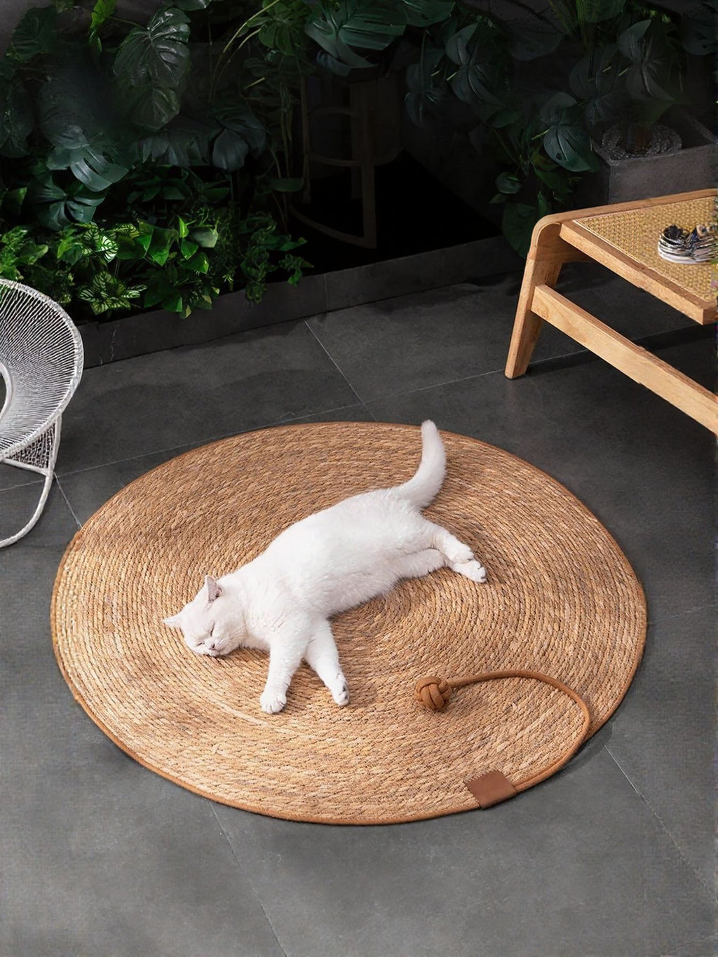 Round braided pet mat by Trendsi featuring a soft, woven design ideal for pets to rest comfortably.