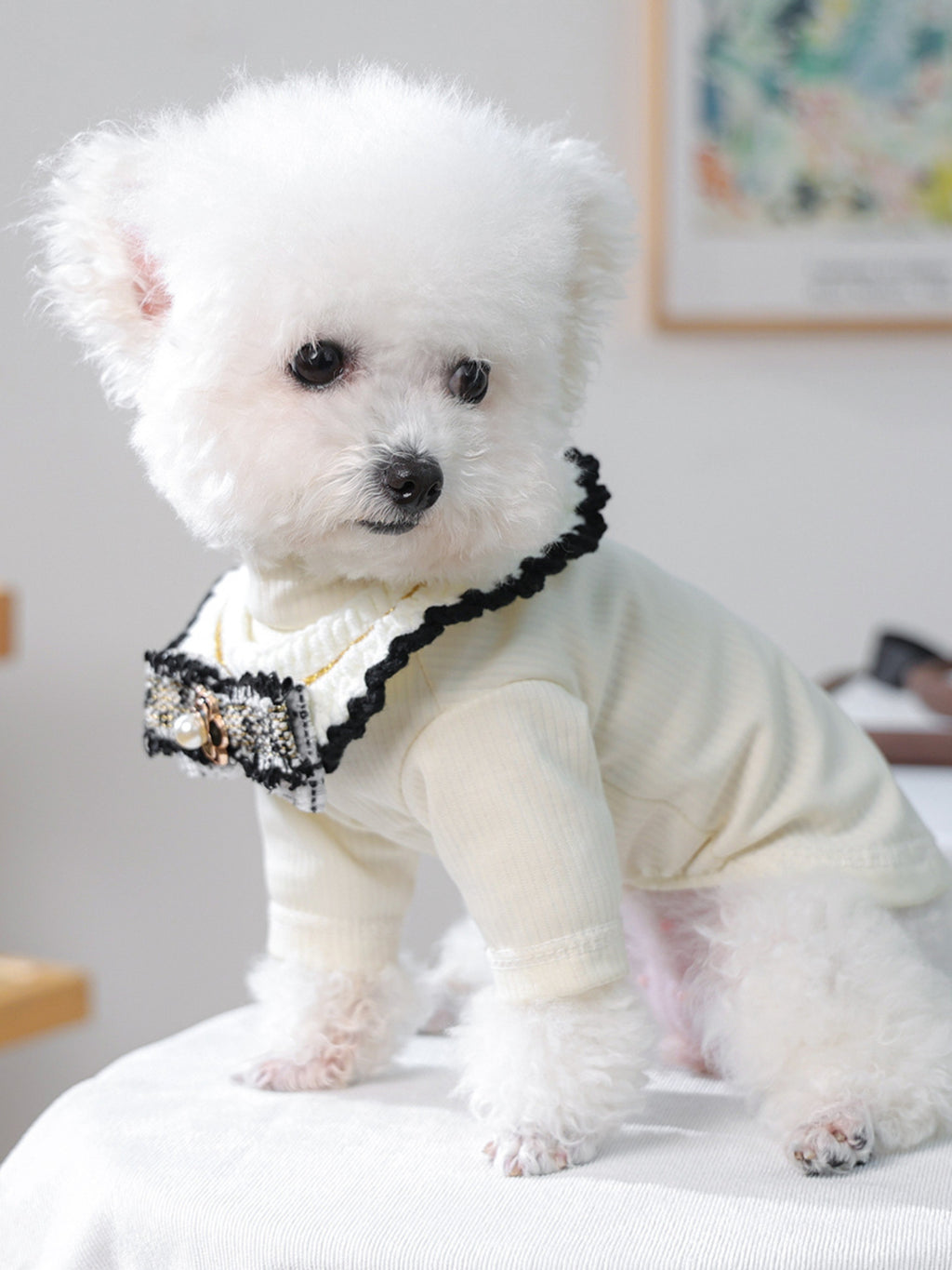 Contrast pet scarf by Trendsi featuring stylish black and white design, perfect for small to medium pets.