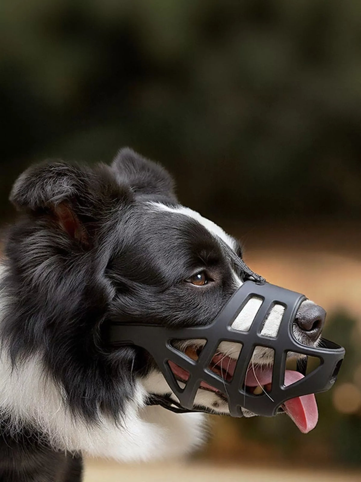 Breathable basket dog muzzle by Trendsi, showing a comfortable, ventilated design for secure dog restraint.
