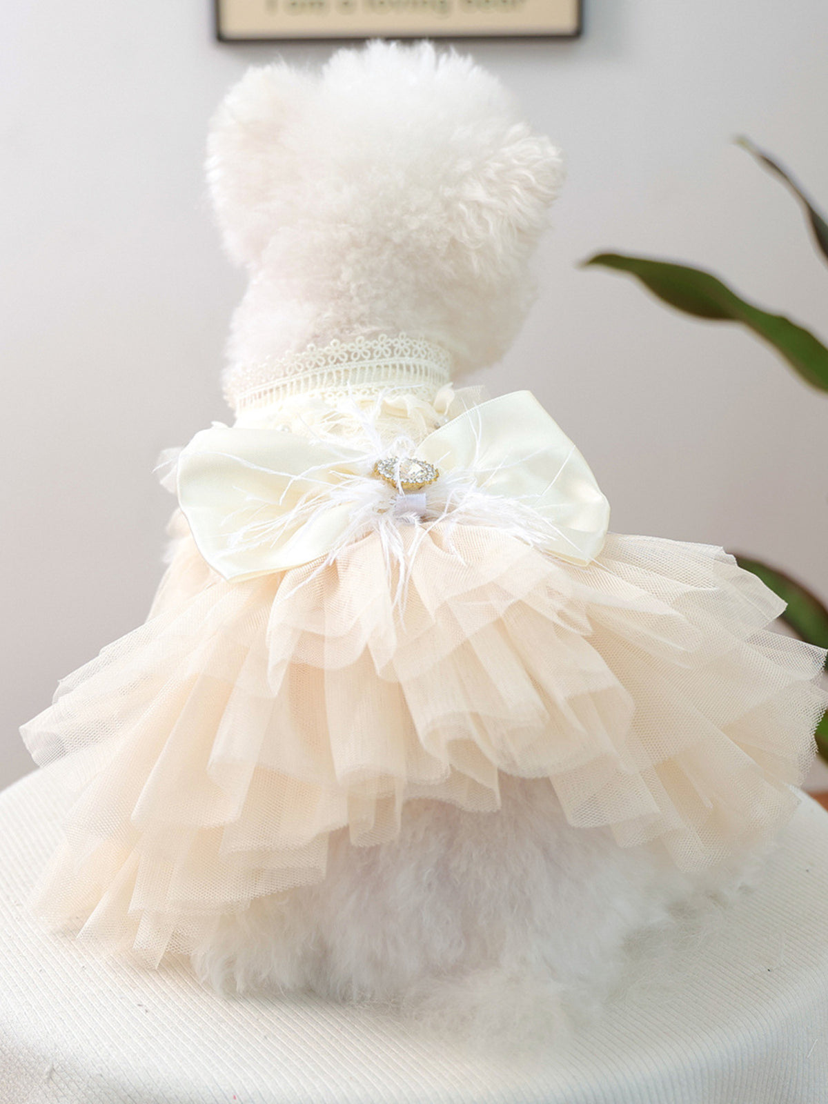Pet dress with bow and tulle ruffles, trendy design, perfect for small dogs or cats, by Trendsi featuring a charming ruffled tulle skirt.