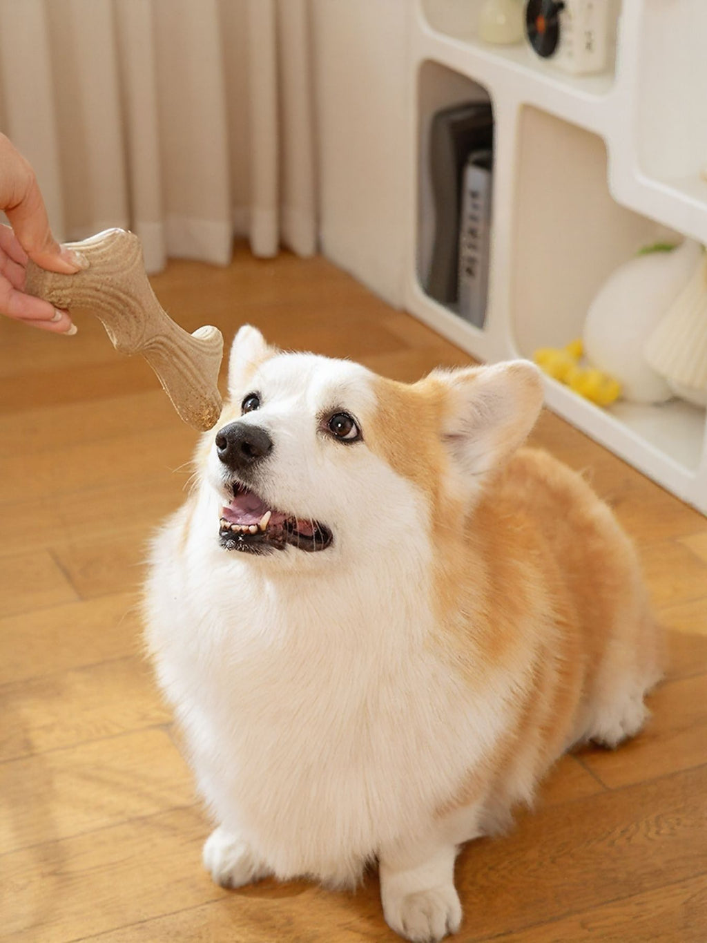 Durable antler-shaped dog chew toy from Trendsi with textured surface for chewing and dental health.