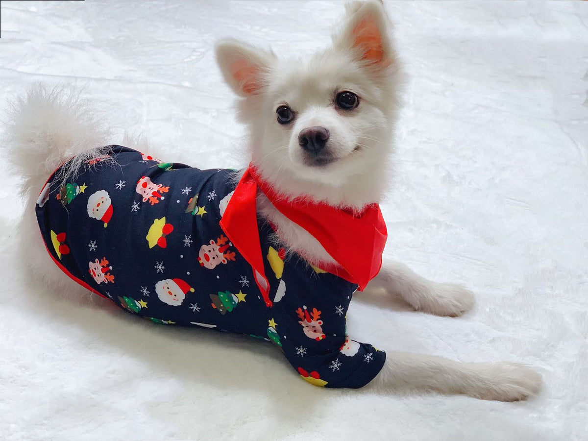 Matching family Christmas pajama set, view 2
