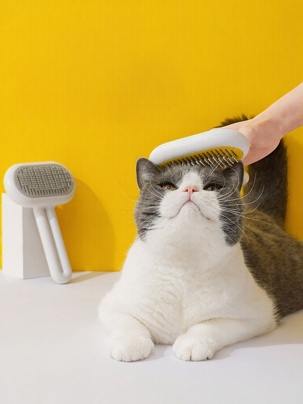 Portable pet hair remover brush by Trendsi with a handle and bristles for effective pet hair removal from furniture and clothing.