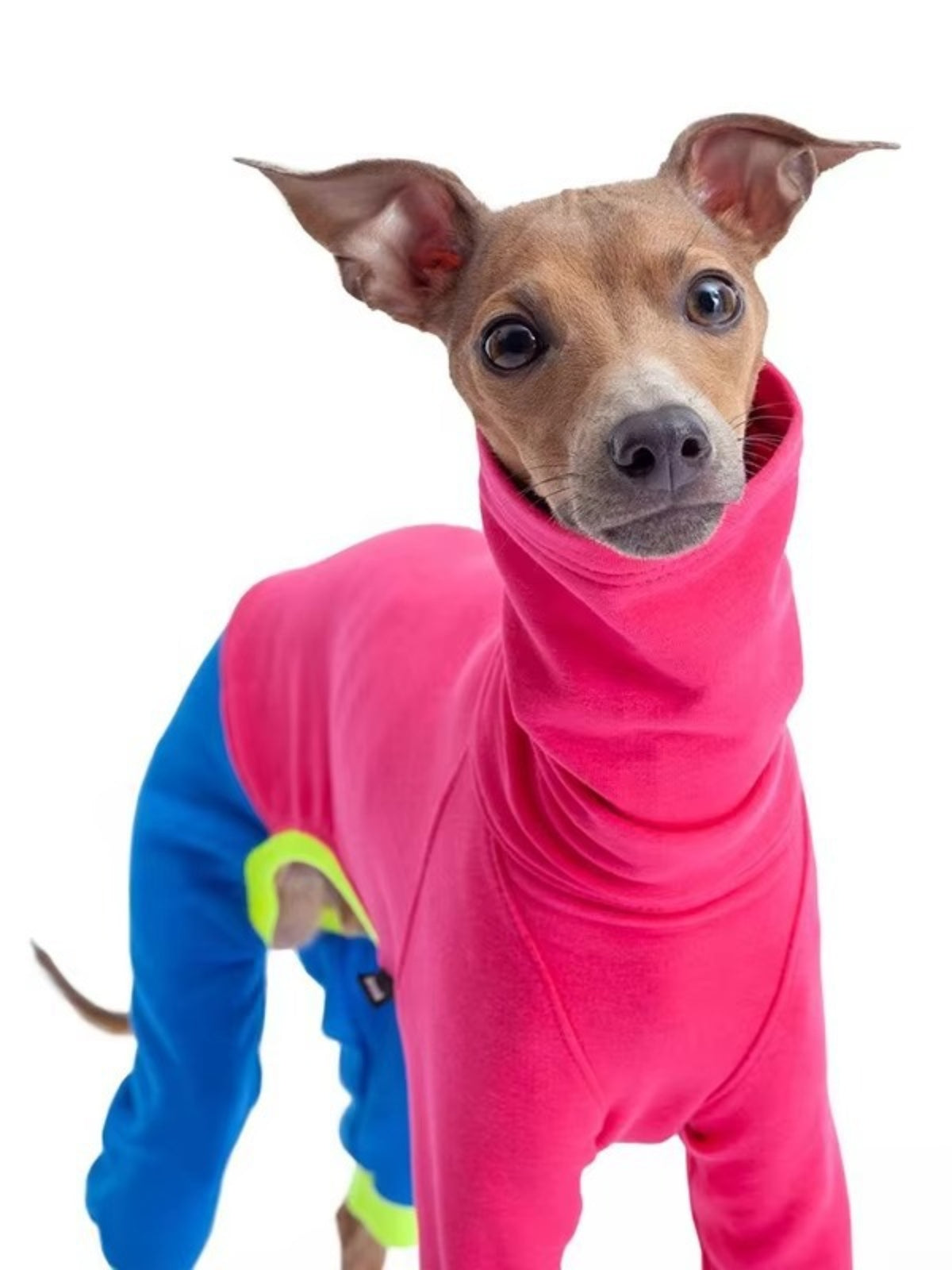 Plus size color block turtleneck pet jumpsuit from Trendsi, featuring a full-size cozy, vibrant design with a turtleneck collar.