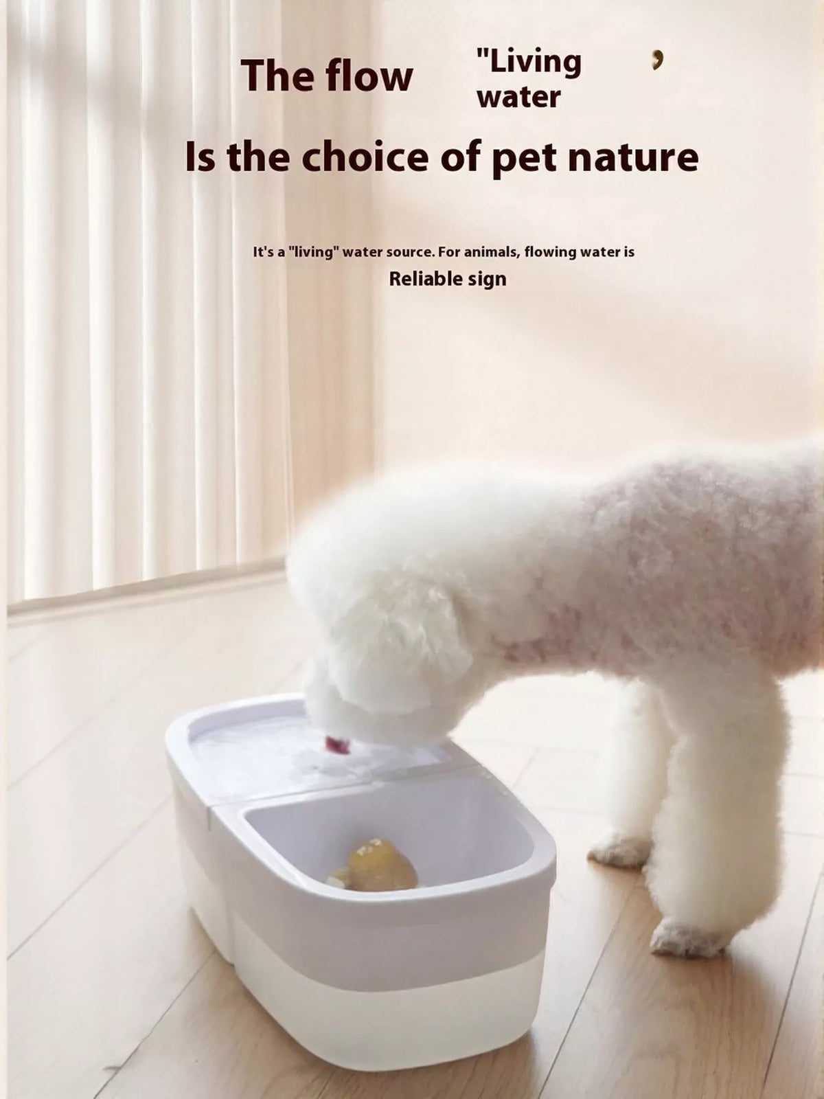 Trendsi 2-in-1 automatic pet water dispenser and food bowl with stainless steel bowls and sleek design.