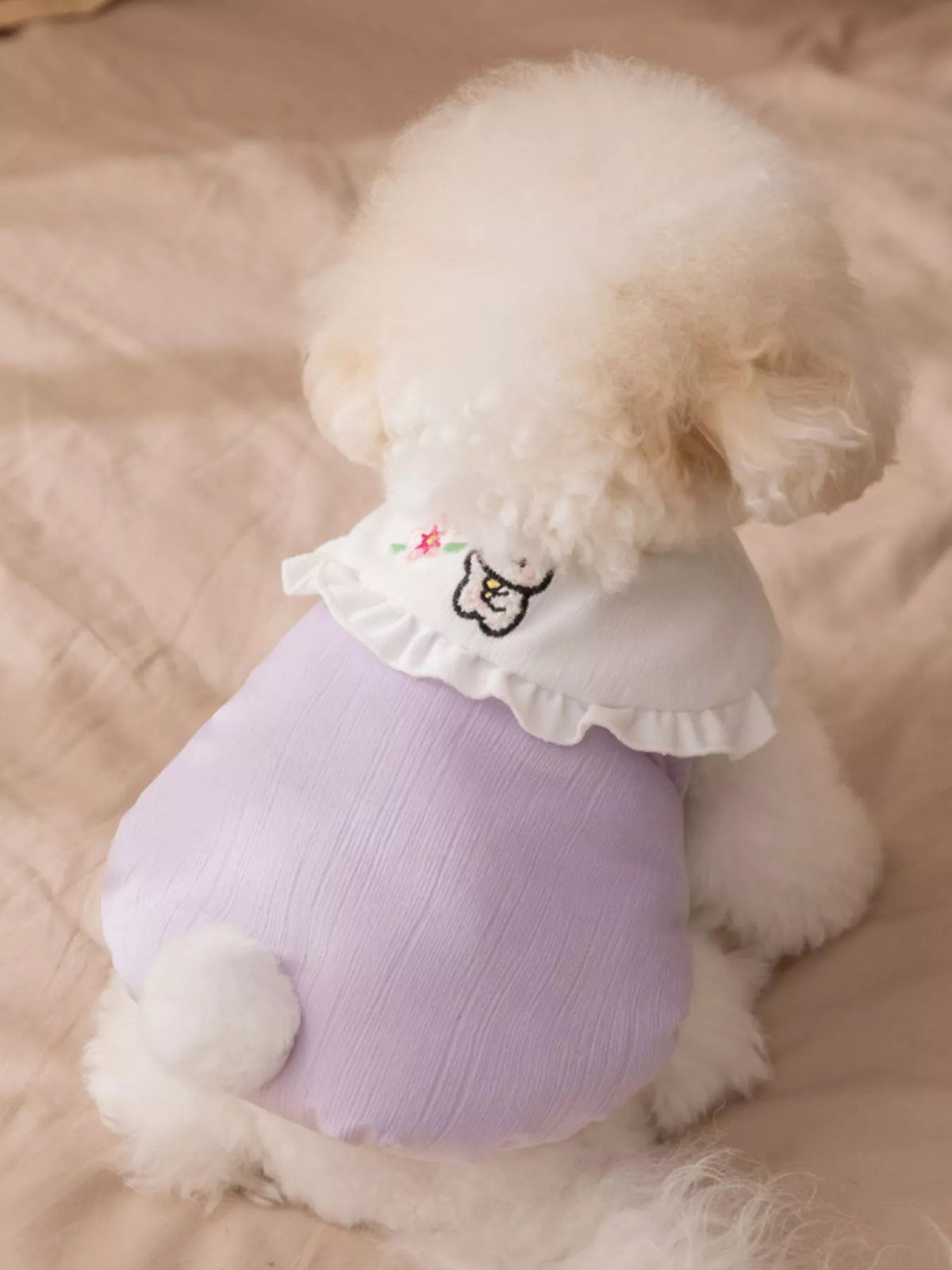 Pet jumpsuit with button-down front and ruffle collar, stylish Trendsi pet clothing in soft fabric, shown on a small dog.