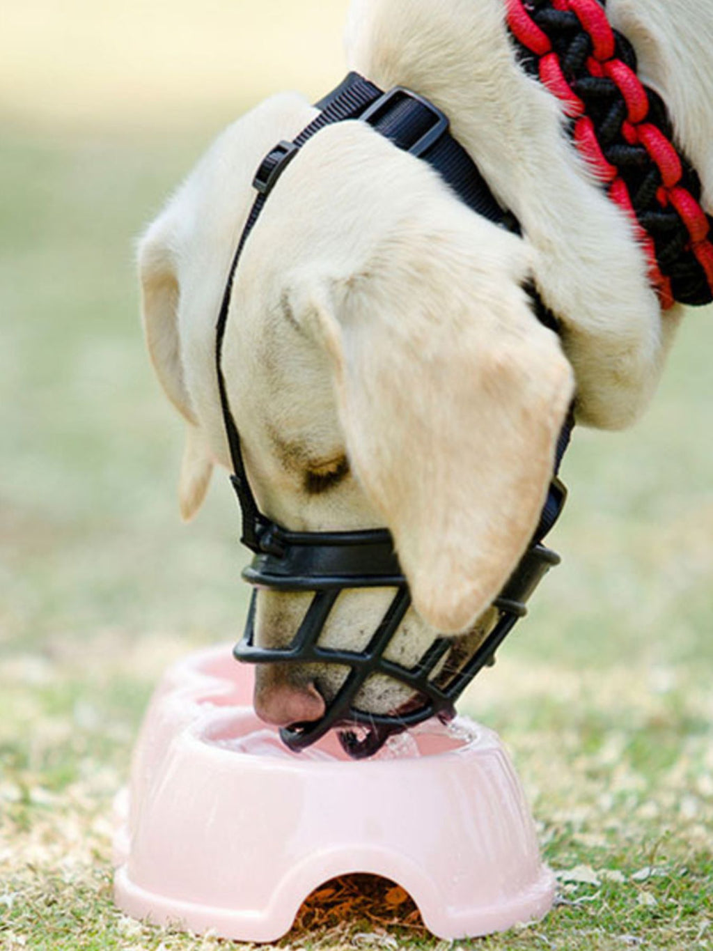 Trendsi anti-bite pet muzzle made of durable material, preventing biting and promoting safety for dogs during walks or grooming.