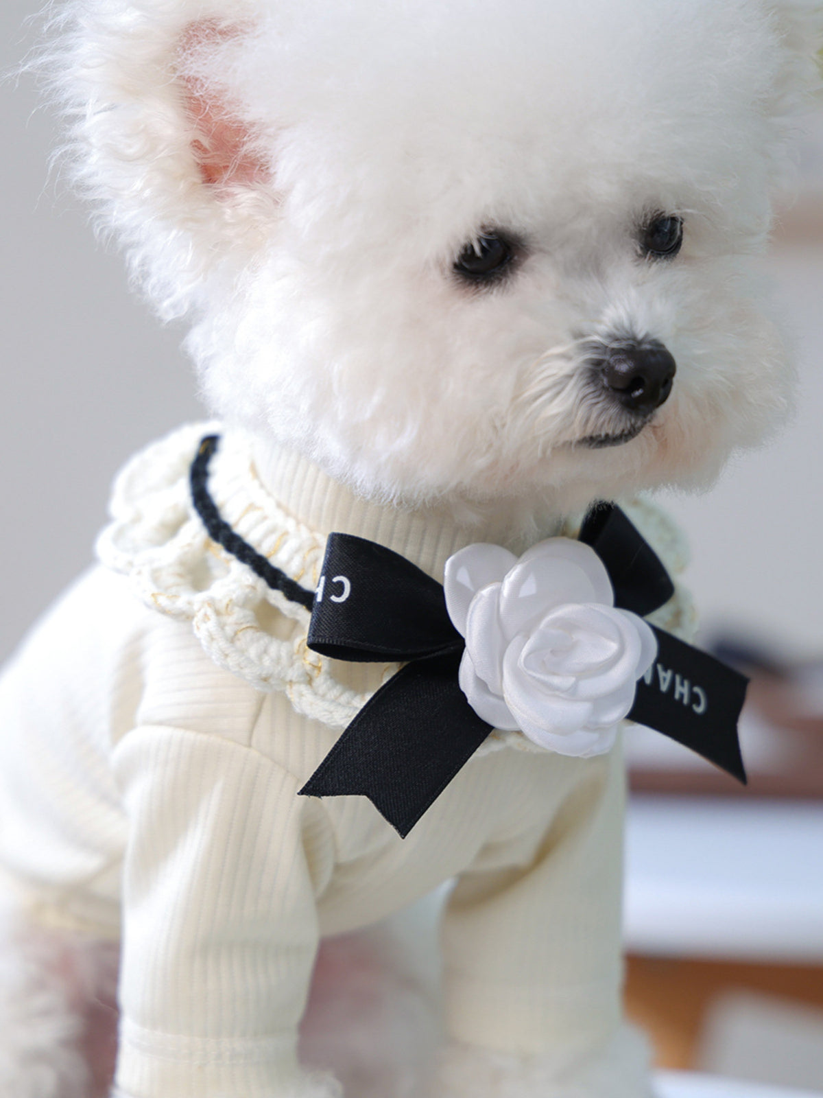 Contrast pet scarf by Trendsi featuring stylish black and white pattern, perfect for fashionable pets.