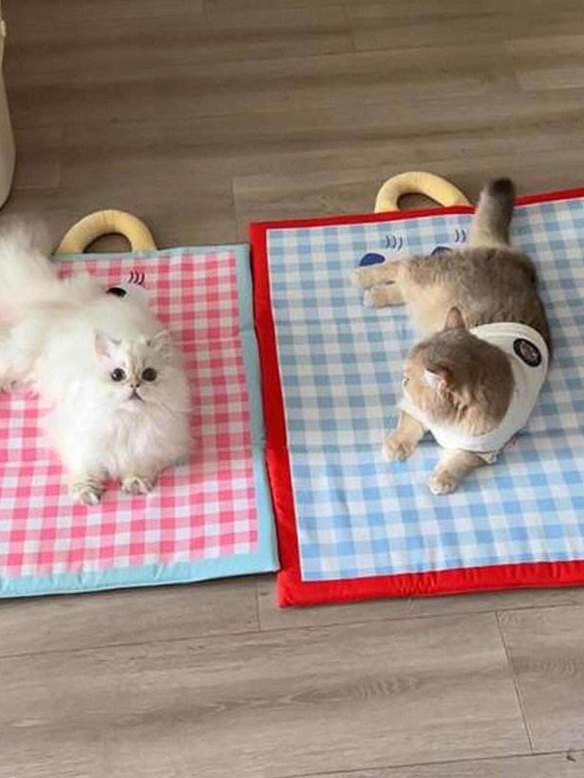 Plaid pet mat with handle from Trendsi, featuring a soft, cozy design ideal for pets to rest comfortably.