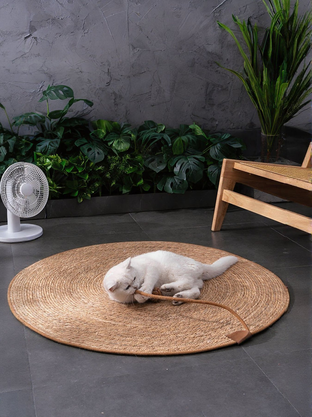 Round braided pet mat from Trendsi with soft, woven design ideal for small pets or cozy resting spots.