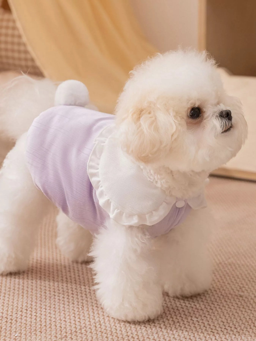 Pet jumpsuit from Trendsi featuring a button-down design, ruffle collar, and comfortable fit for dogs or cats, in a stylish style.
