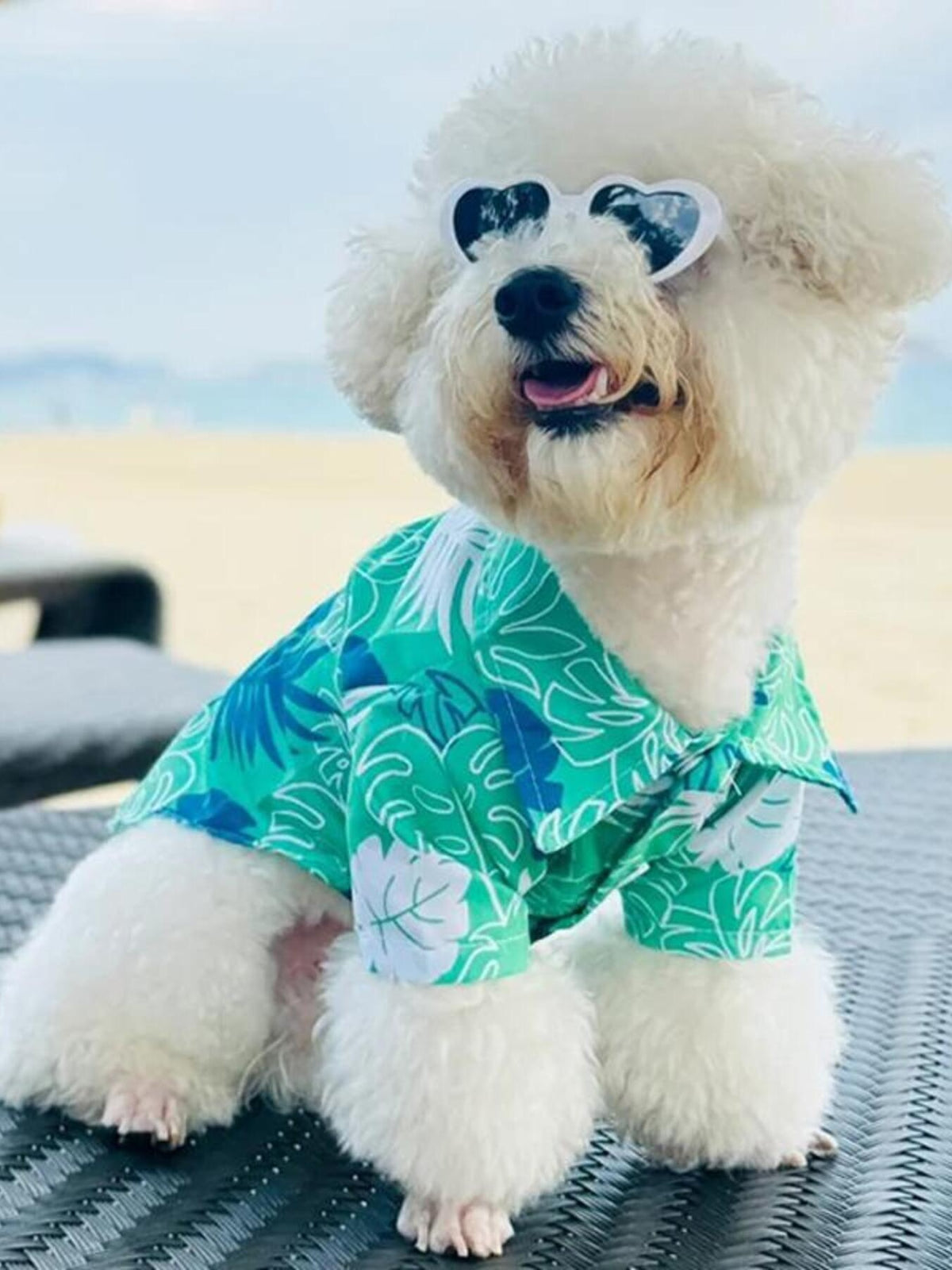 Lightweight pet top from Trendsi featuring breathable fabric and a comfortable fit, perfect for casual wear.