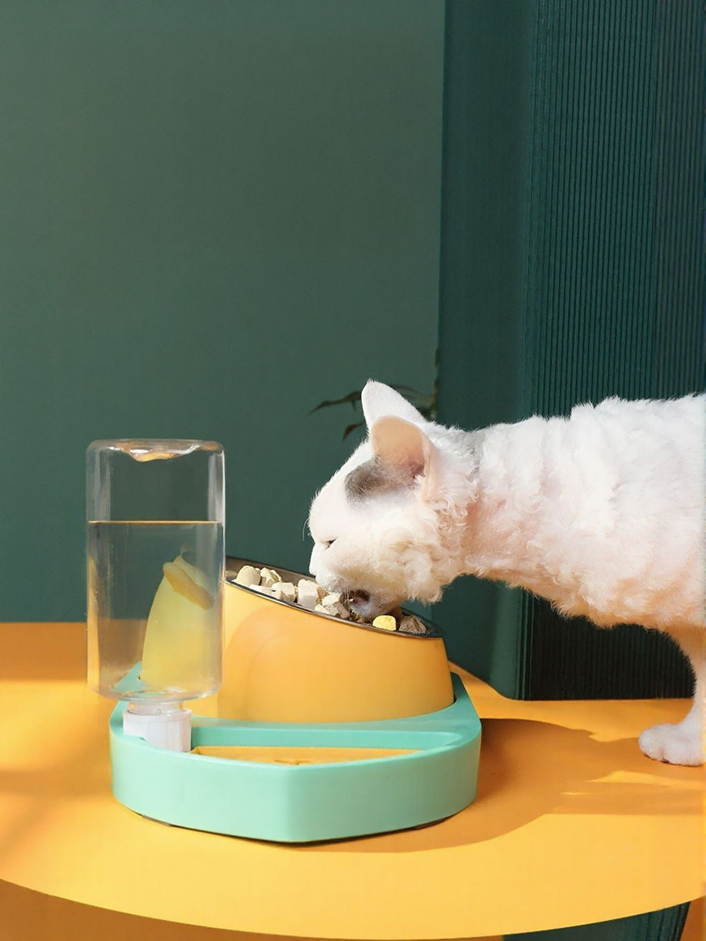 Automatic water refill pet bowl by Trendsi showing a sleek, accessible bowl with water flowing into it, suitable for pets.
