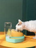 Automatic water refill pet bowl by Trendsi showing a sleek, accessible bowl with water flowing into it, suitable for pets.