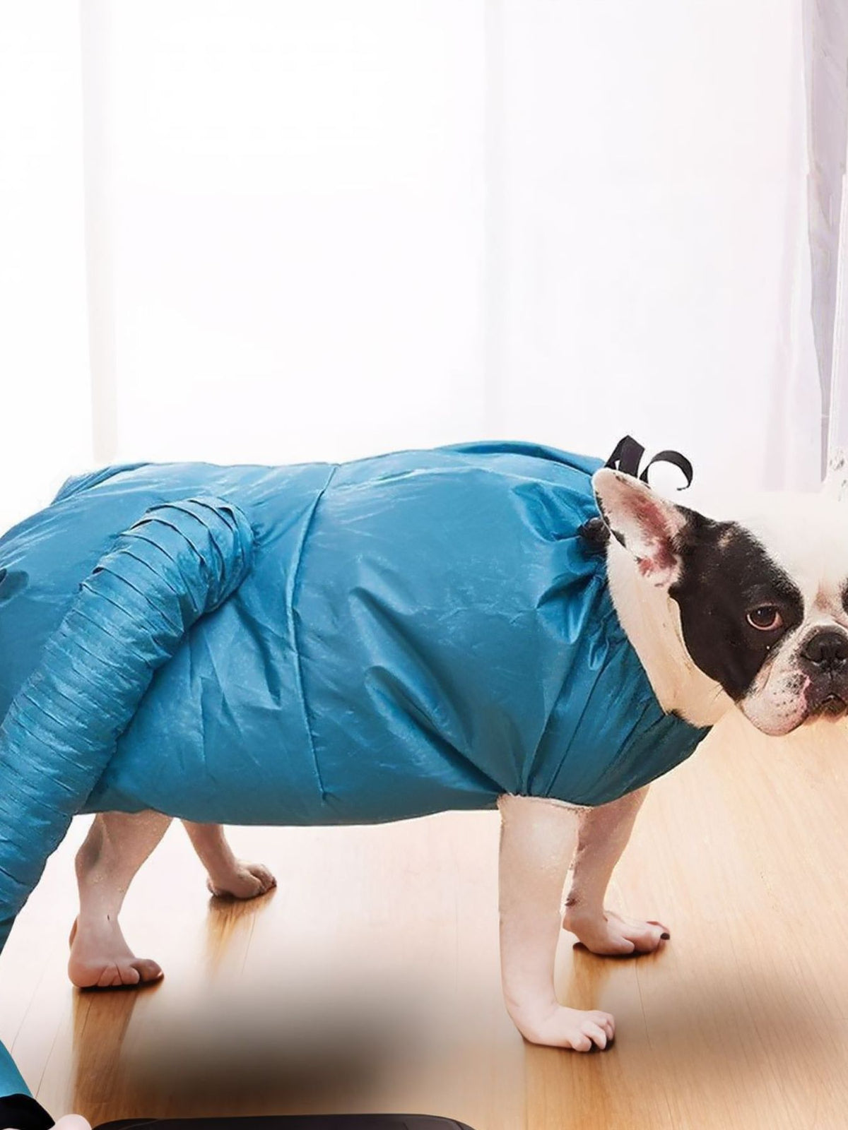 Portable pet quick dry bag from Trendsi, showing a compact, water-resistant bag designed for drying and storing pets after baths.