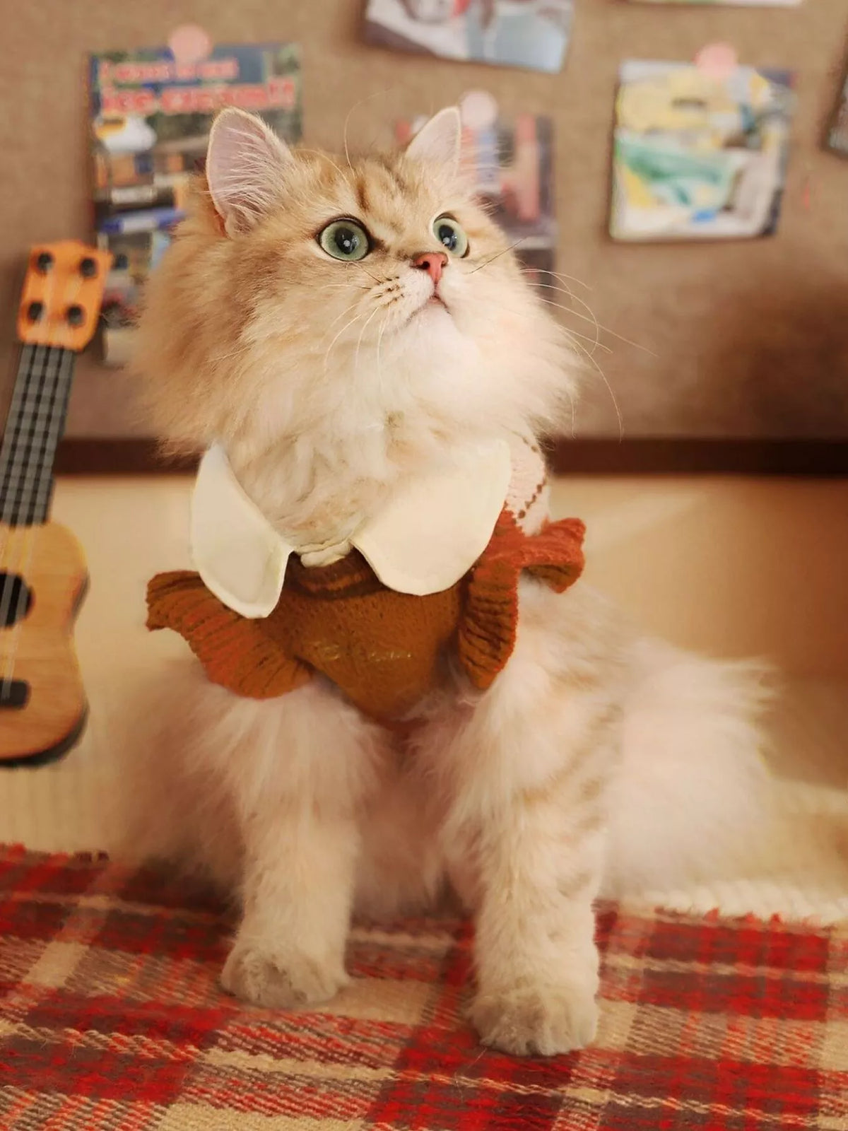 Trendsi argyle pattern pet sweater in cozy knit with multicolor diamond design, perfect for small dogs or cats.