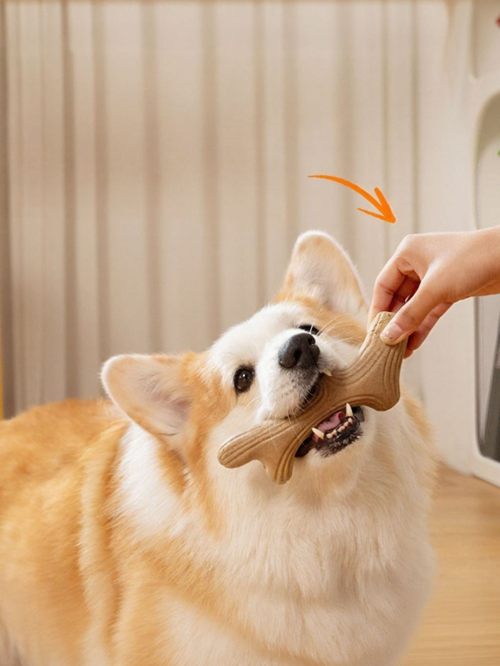 Durable antler-shaped dog chew toy from Trendsi, made of tough material, designed for aggressive chewers and long-lasting play.