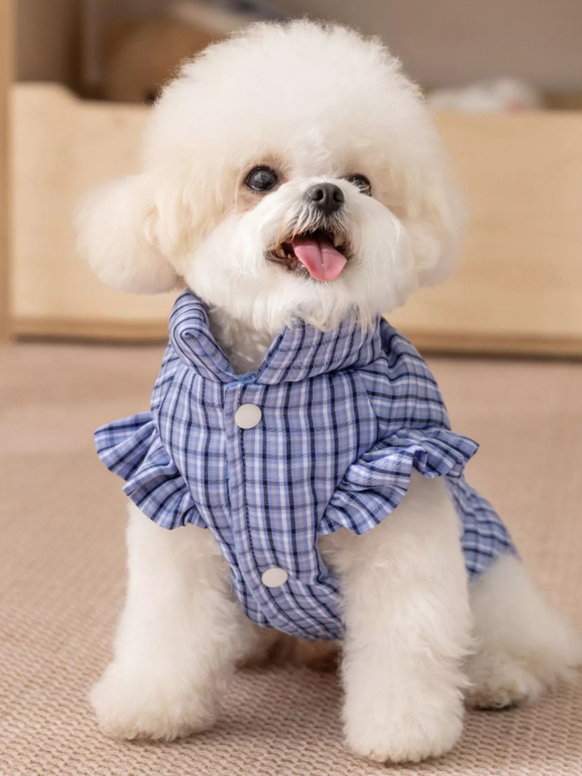 Pet jacket with plaid pattern and ruffle trim, designed for dogs, by Trendsi, shown in a stylish, cozy outdoor setting.