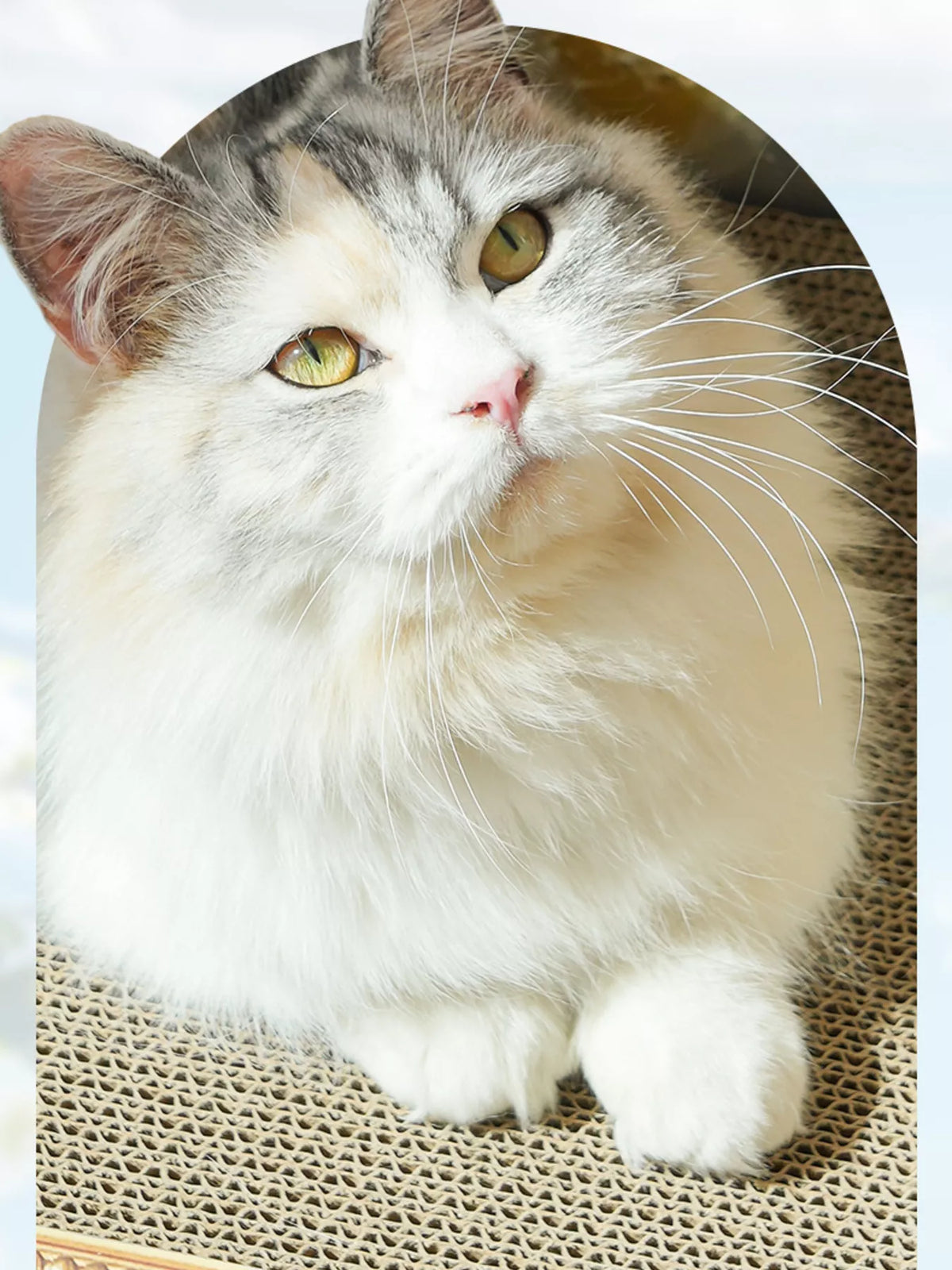 Artistic Frame Cat Scratcher Nest by Trendsi showing a stylish, natural sisal scratcher with a cozy enclosed space for cats.