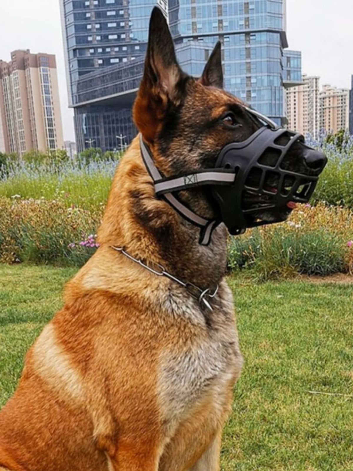 Trendsi anti-bite pet muzzle showing adjustable strap and padded nose area for safe and comfortable pet restraint.