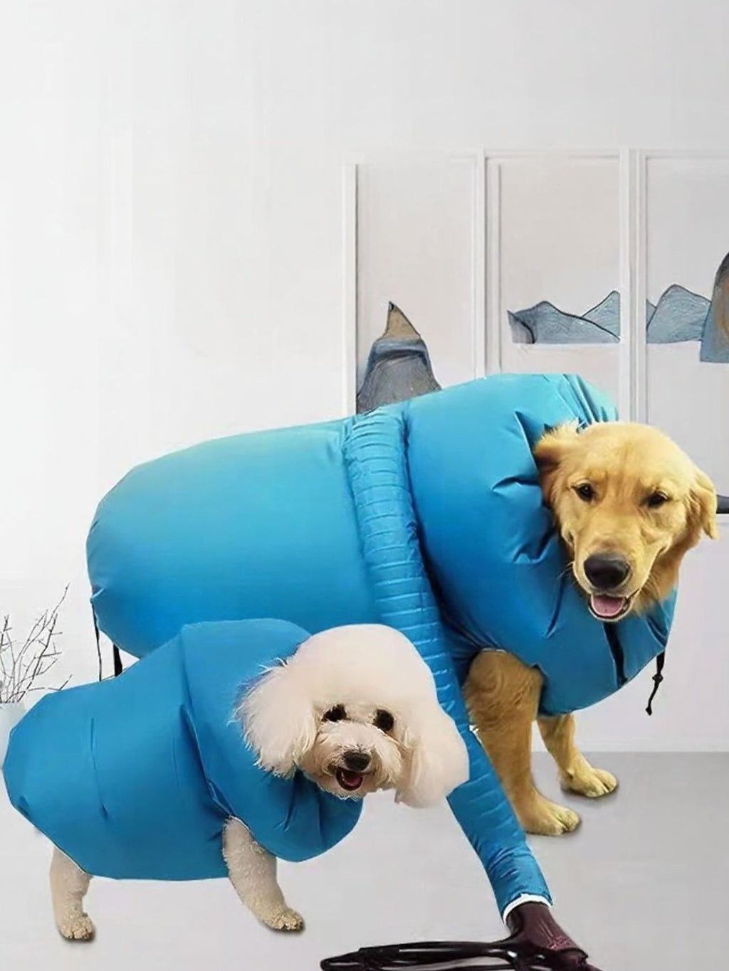 Portable pet quick dry bag by Trendsi, showing a compact, lightweight bag designed for drying small pets quickly and comfortably.