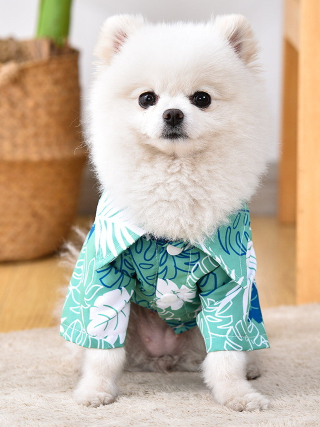 Lightweight pet top from Trendsi featuring soft fabric and a comfortable fit, suitable for casual wear and pet fashion.