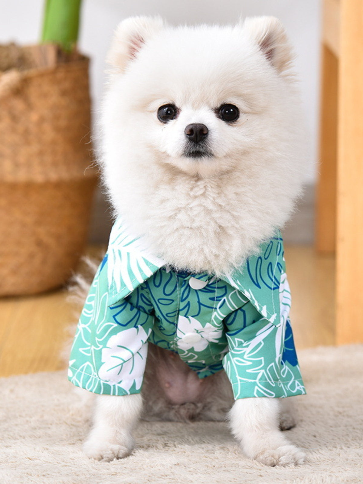 Lightweight pet top from Trendsi featuring soft fabric and a comfortable fit, suitable for casual wear and pet fashion.