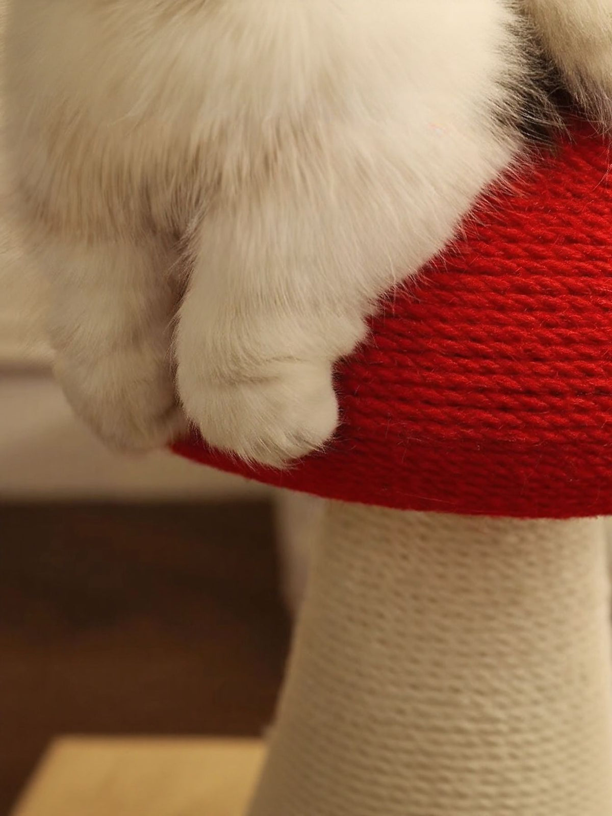 Mushroom-shaped cat scratching post by Trendsi with a plush mushroom cap and sturdy base for feline scratching and play.