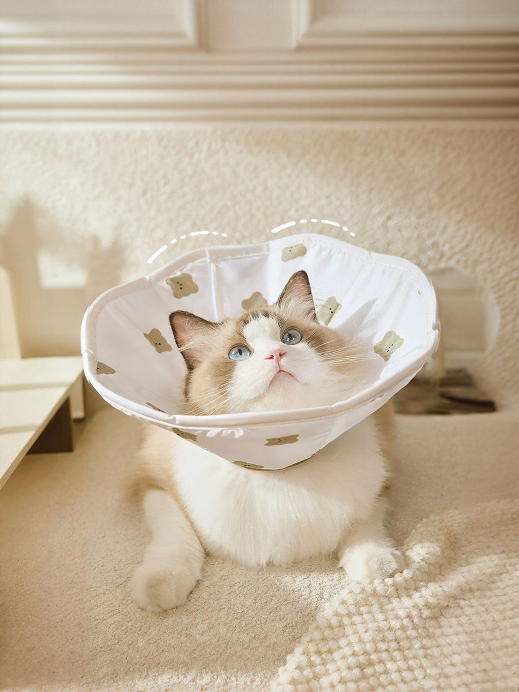 Cute bear pattern protective pet collar from Trendsi, featuring a colorful design and comfortable fit for small pets.