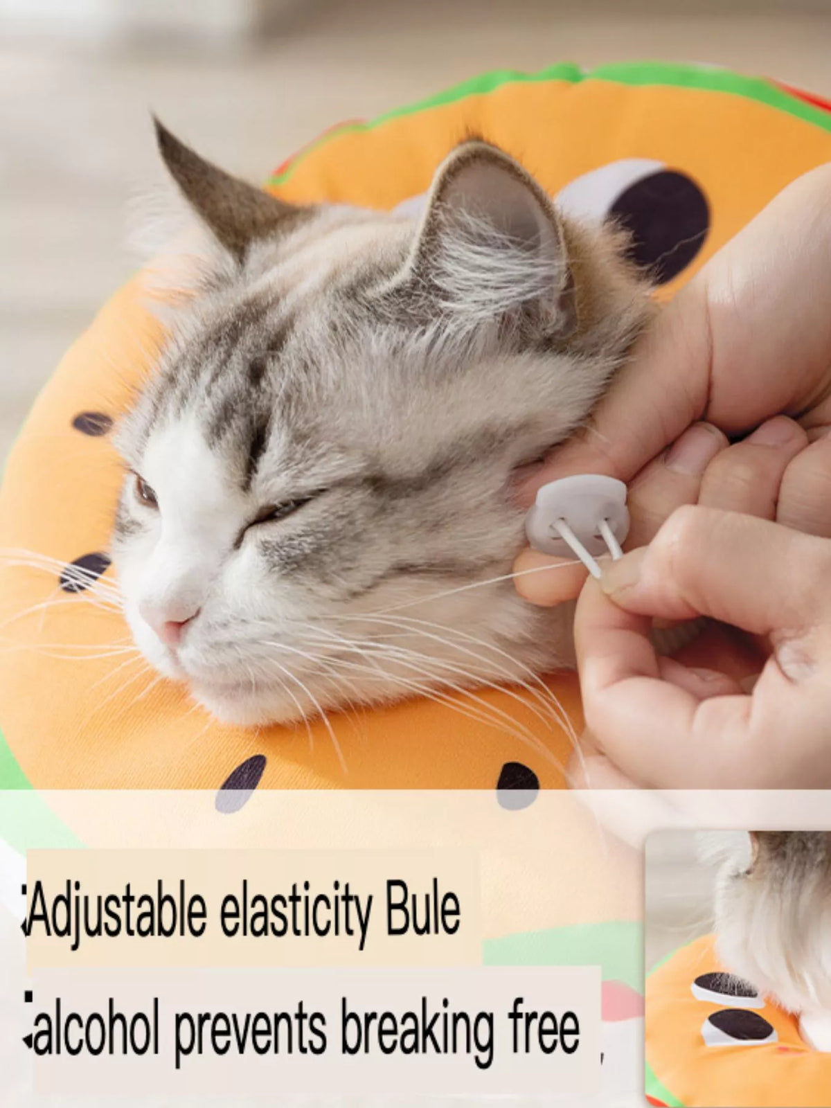Adjustable cute pet collar from Trendsi featuring colorful designs and a secure buckle for small to medium pets.