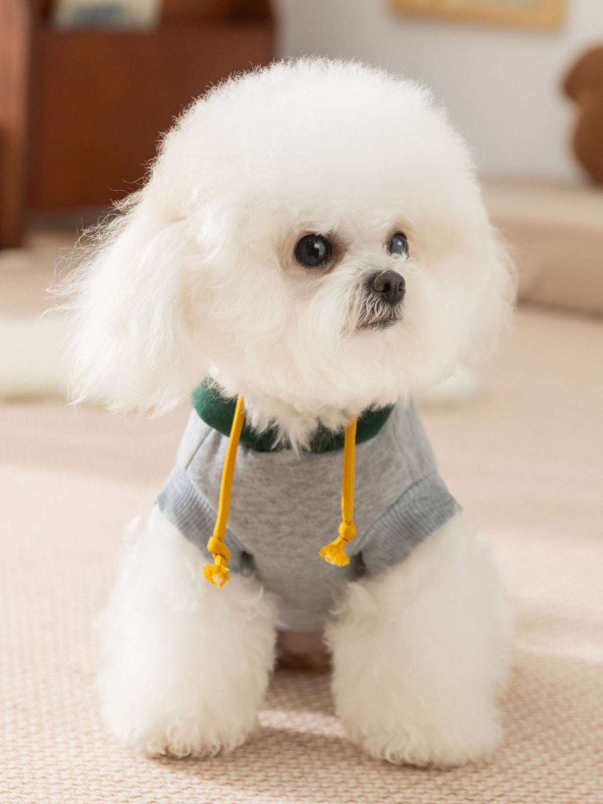 Cute cartoon pet top from Trendsi featuring colorful pet illustrations on a soft fabric shirt.