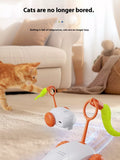 Interactive self-rotating pet teaser toy by Trendsi featuring colorful feathers and a spinning motion to engage cats or small pets.