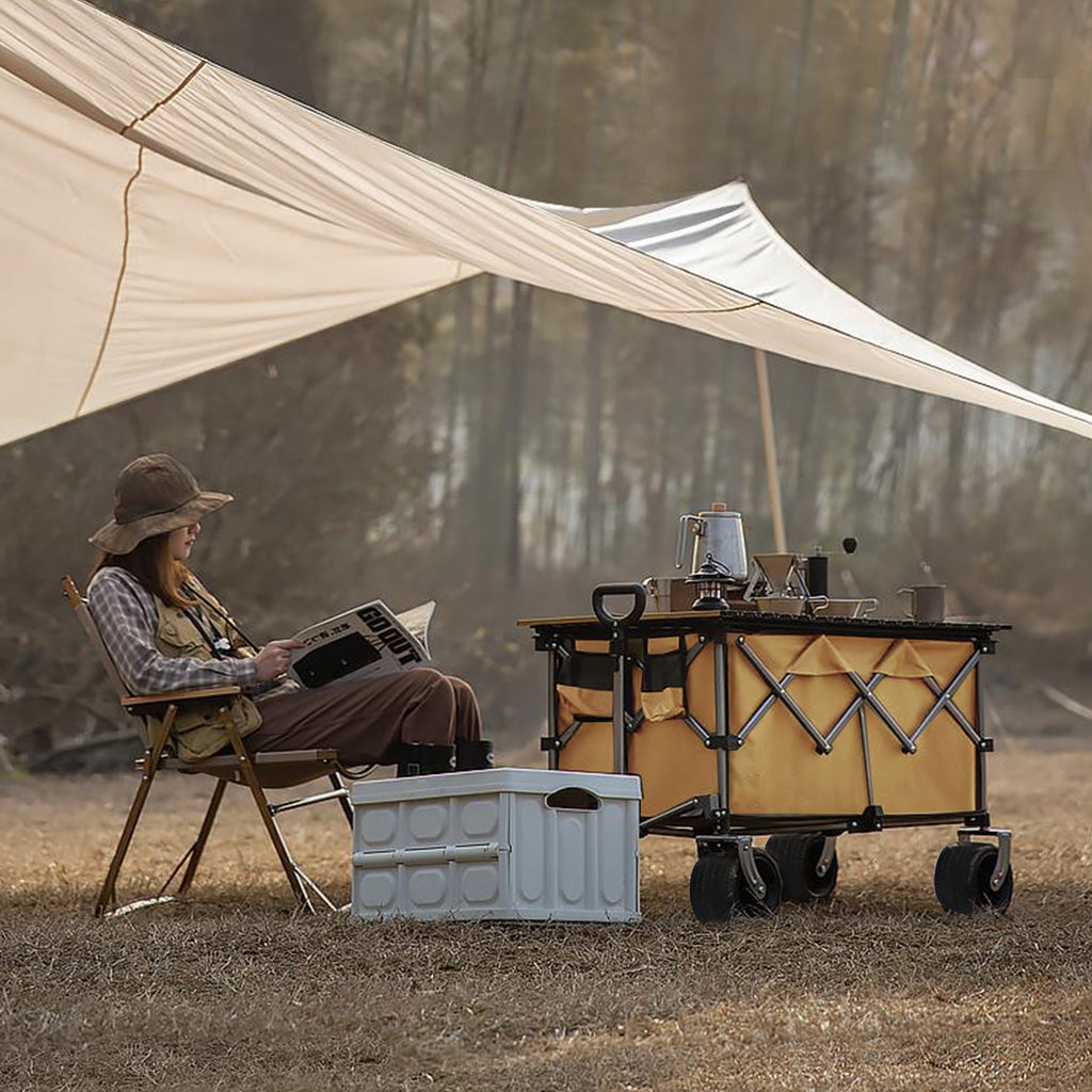Collapsible Push-Pull Beach Wagon – Grayish Brown