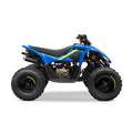 Kids 110cc ATV / Go-Kart Beach Buggy