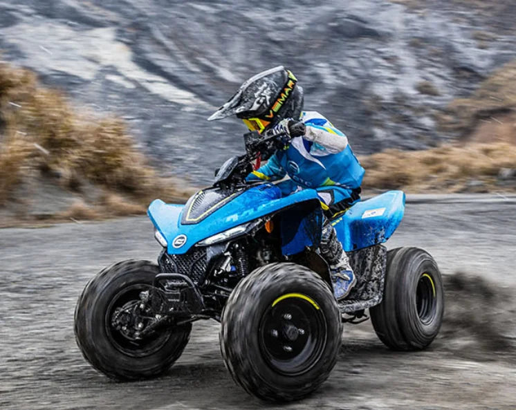 Kids 110cc ATV / Go-Kart Beach Buggy