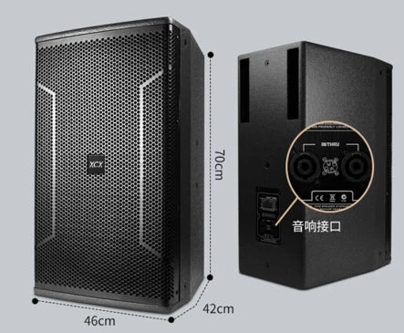 Máquina de karaoke de sistema dual Max: 2 micrófonos inalámbricos, 2 TB