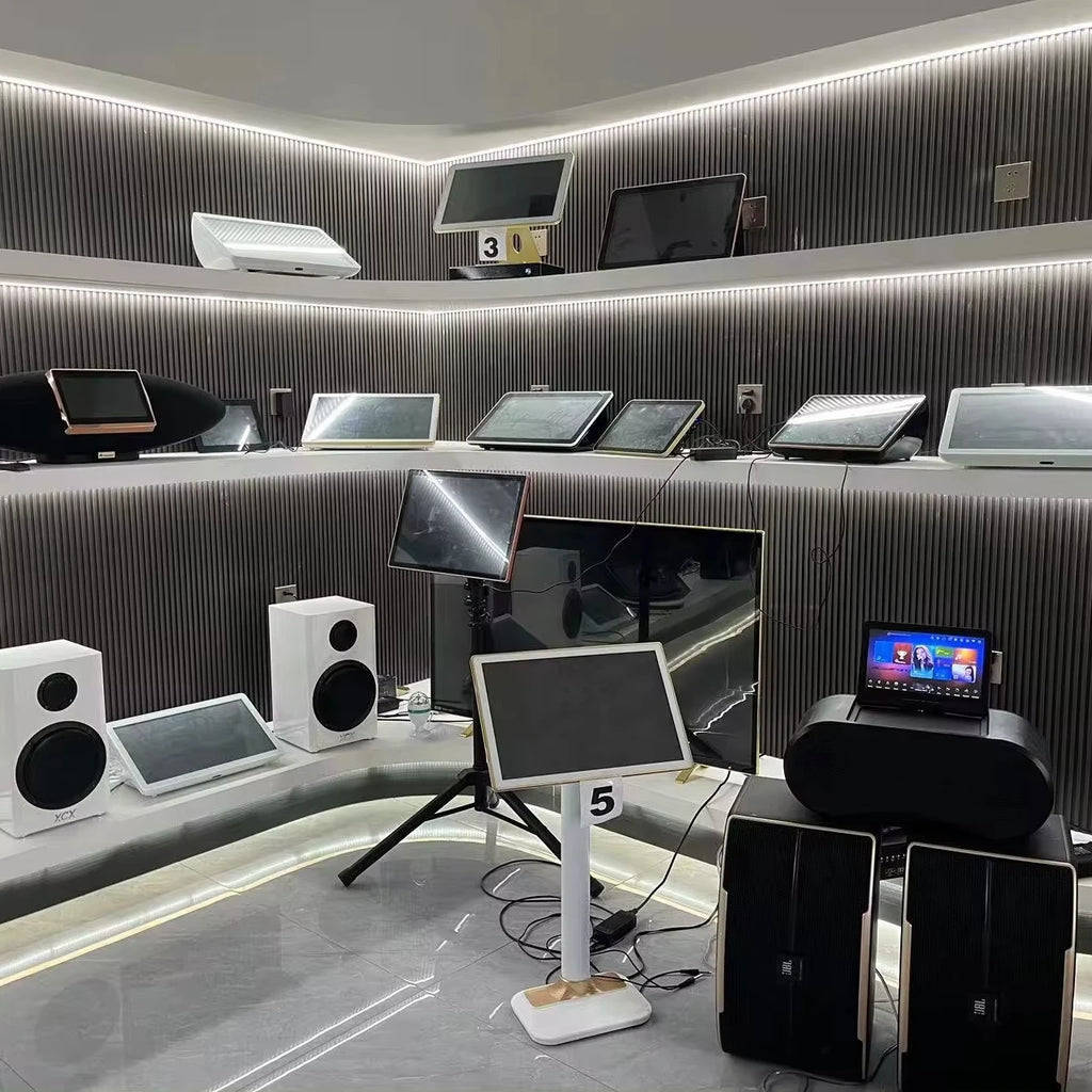 Máquina de karaoke de sistema dual Max: 2 micrófonos inalámbricos, 2 TB