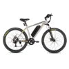500W Electric Mountain Bike for Adults