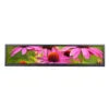 24-Inch Open-Frame Ultra-Wide LCD Monitor – 1920×360