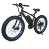 500W Electric Beach Cruiser Bike